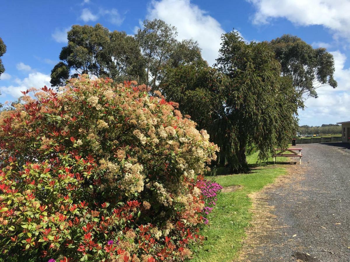 Limestone Coast Tourist Park Mount Gambier Εξωτερικό φωτογραφία